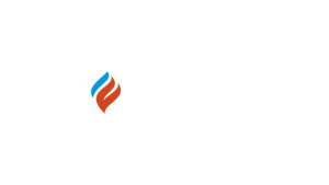 ANA logo white